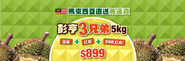 彭亨3兄弟