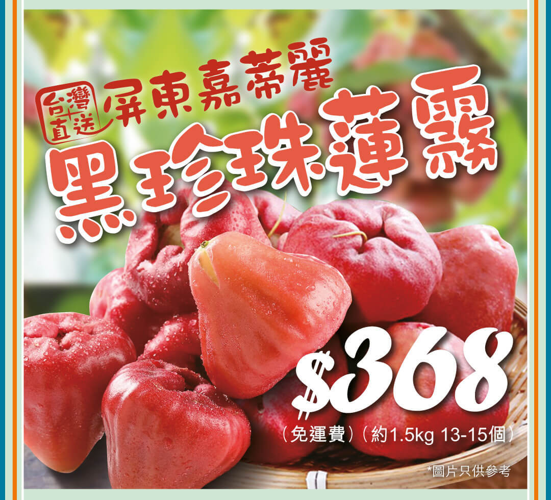 屏東嘉蒂麗黑珍珠蓮霧