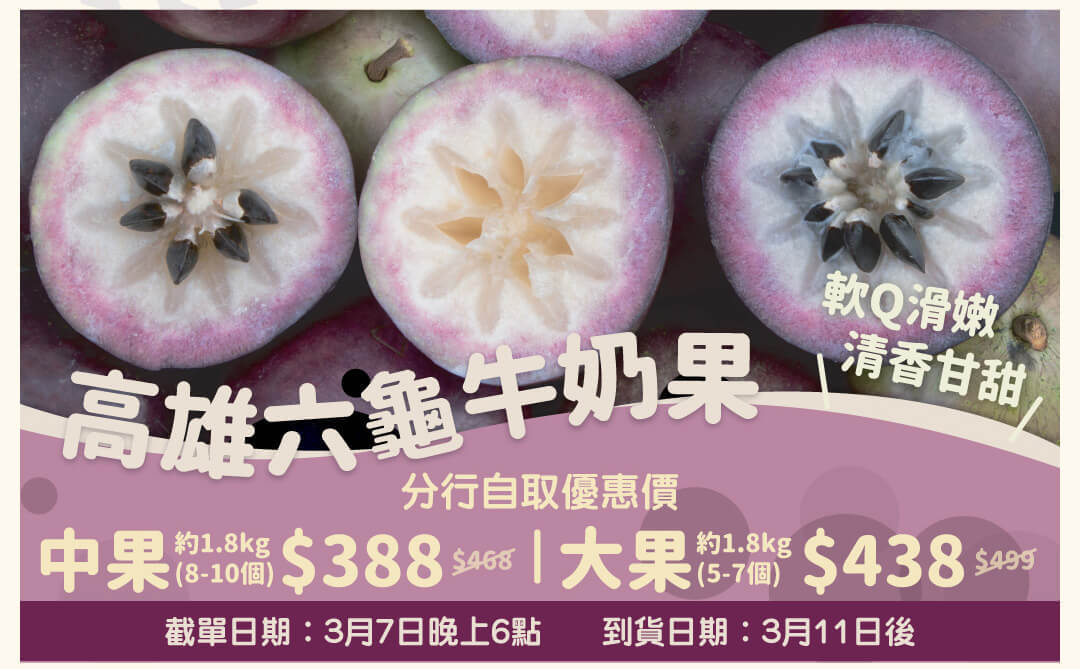 高雄六龜牛奶果