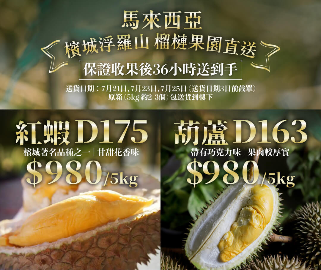 馬來西亞 \檳城浮羅山/ 榴槤果園直送