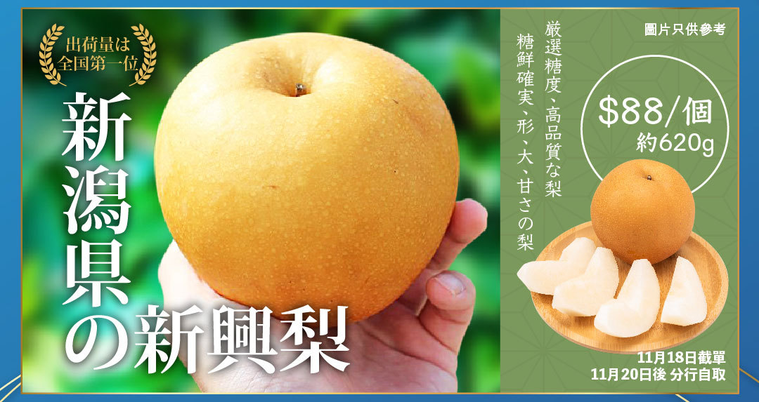 新興梨
