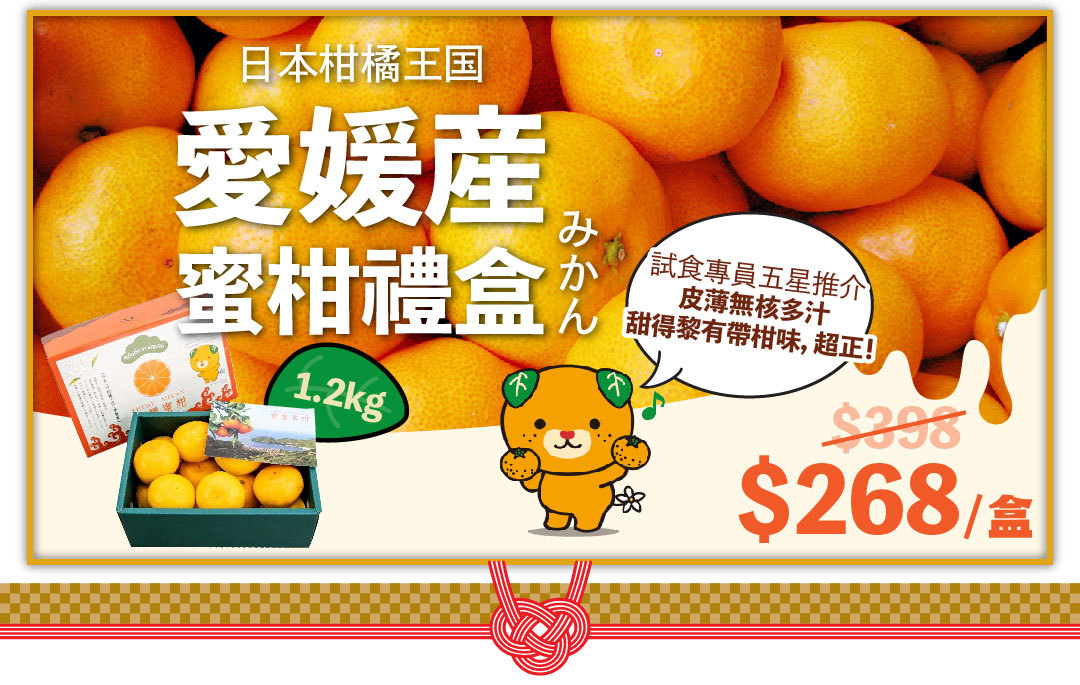 日本直送 愛媛縣 蜜柑禮盒