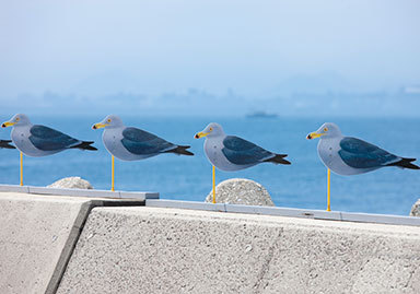 瀬戸内海の四季