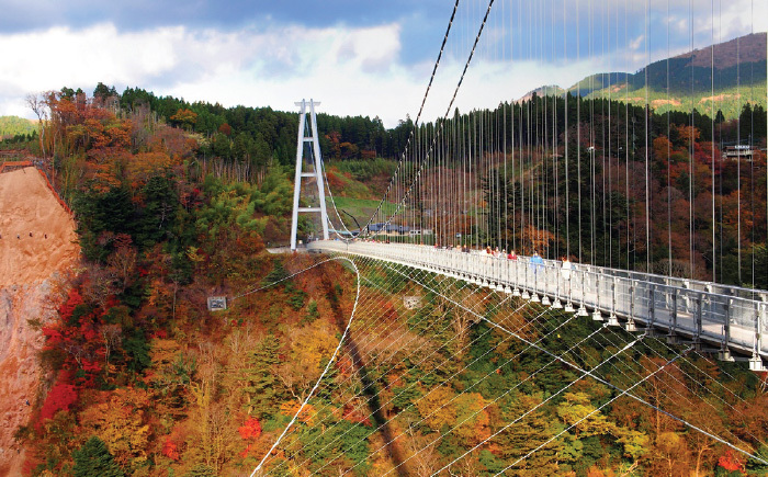 Egl Tours 東瀛遊 紅葉限定let S Go