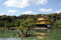 漫遊金閣寺