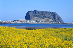 濟州島
