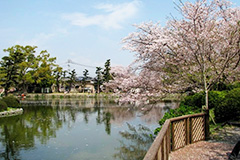 日本九州小城公園號