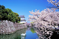 熊本城