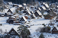 白川鄉