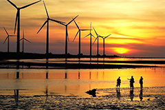 高美濕地的木道