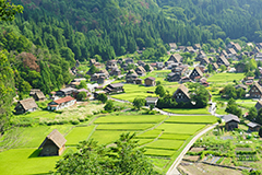 白川鄉