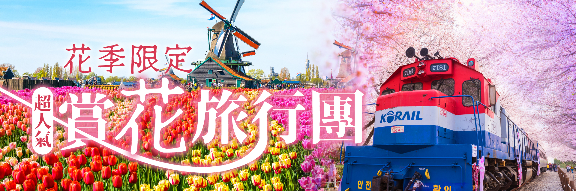 人氣賞花旅行團